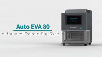 نظام تبخر النيتروجين الآلي RayKol Auto EVA 80